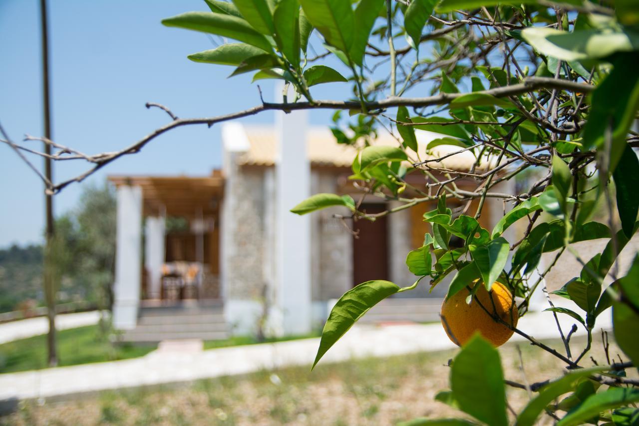 To Stolidi Tis Psinthou Villa Psinthos Bagian luar foto